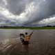 flooded rice field